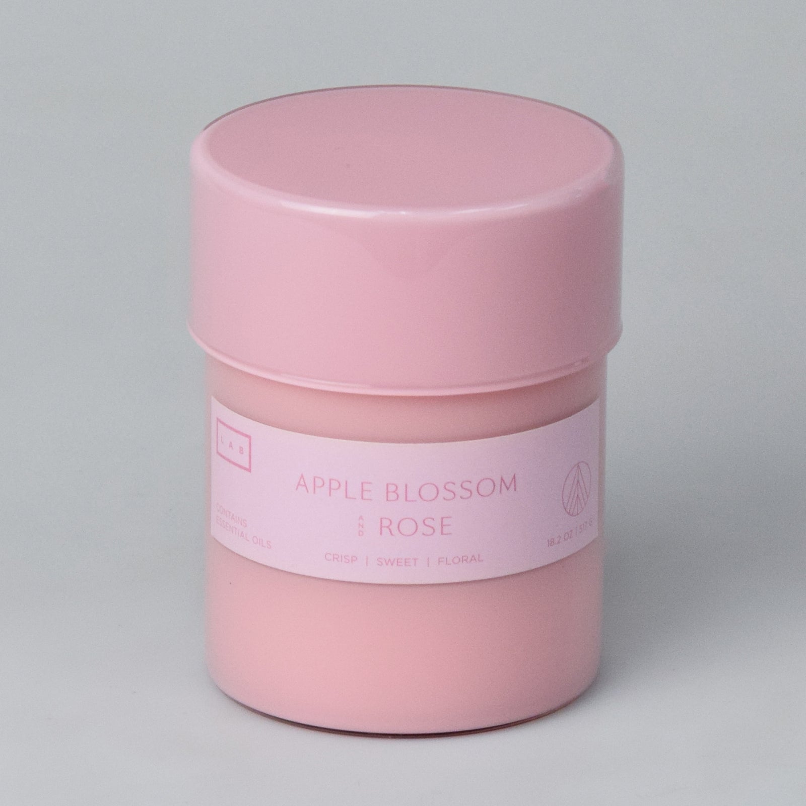 AppleBlossom_Rose_1600x.jpg?v=