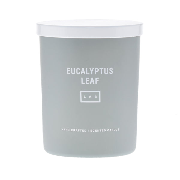 Eucalyptus Leaf