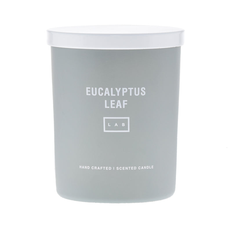 Eucalyptus Leaf