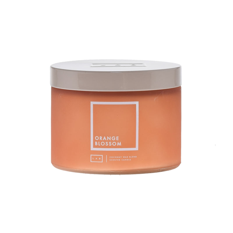 Orange Blossom